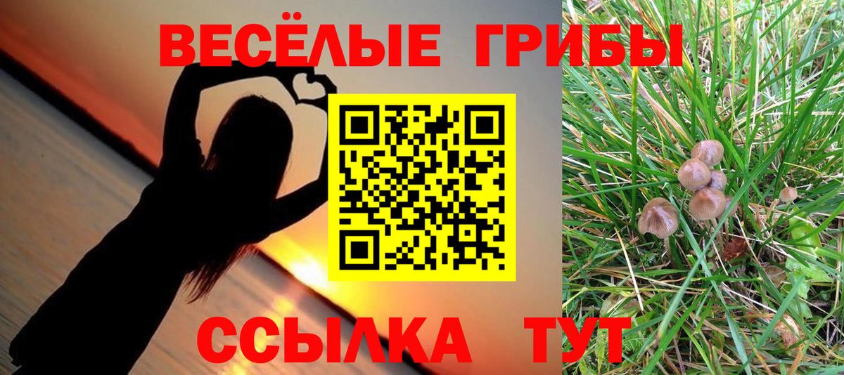 Псилоцибиновые грибы ЛСД  Вход с VPN  где купить наркоту  Магадан  Галлюциногенные грибы ЛСД 